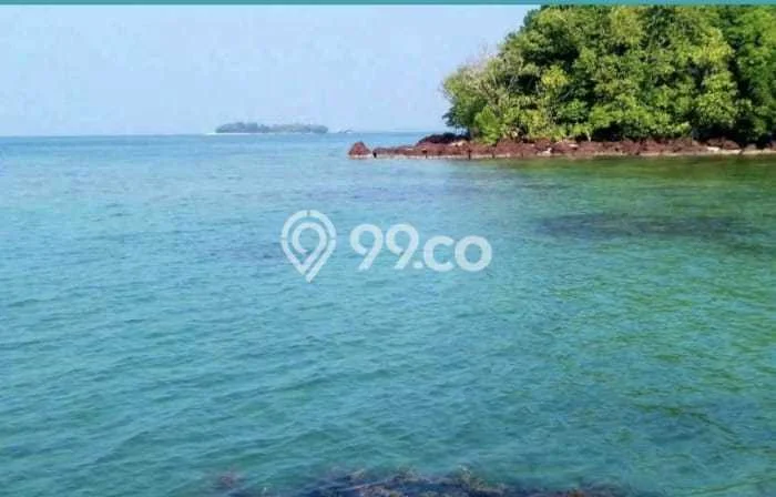 Tanah Dijual Lokasi Karimunjawa, Jepara Luas 63850m2 Legalitas Aman Tanah Dijual Lokasi Karimunjawa, Jepara Luas 63850m2 Legalitas Aman