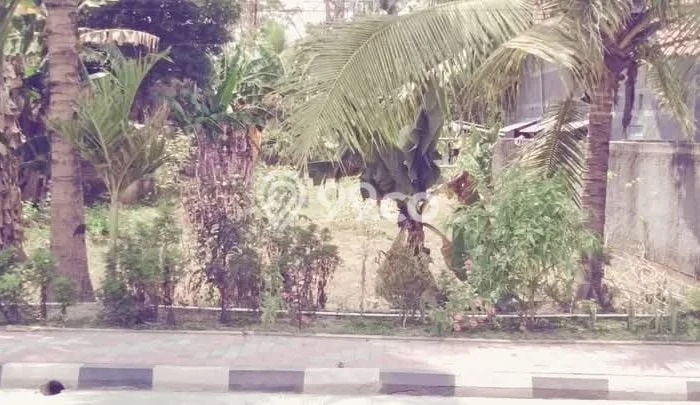 Tanah Kawasan Borobudur, Luas 481m2m², Akses Borobudur, Magelang, Magelang Tanah Kawasan Borobudur, Luas 481m2m², Akses Borobudur, Magelang, Magelang