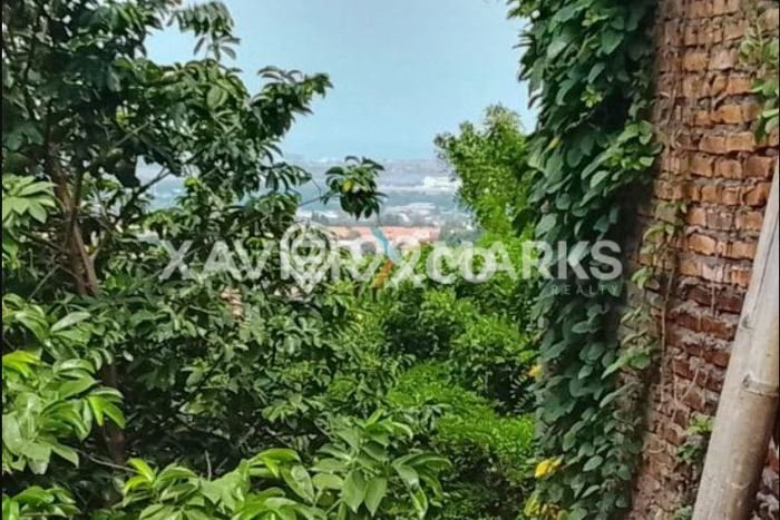 Tanah Dijual Lokasi Ngaliyan, Semarang Luas 1588m2 Legalitas Aman Tanah Dijual Lokasi Ngaliyan, Semarang Luas 1588m2 Legalitas Aman