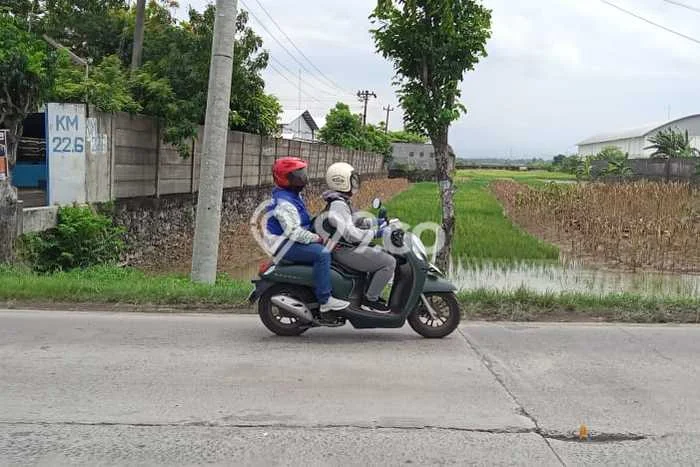 Tanah Kavling untuk Dijual di Mranggen Demak 3175m2 Tanah Kavling untuk Dijual di Mranggen Demak 3175m2