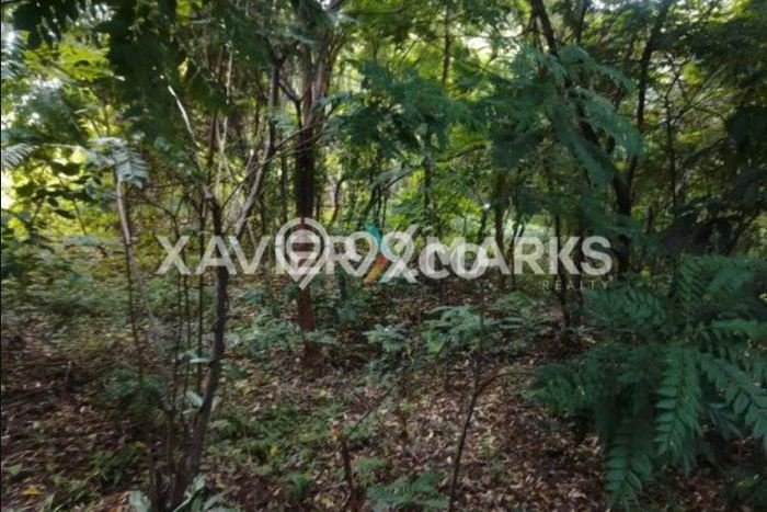 Tanah Dijual Lokasi Ngaliyan, Semarang Luas 1588m2 Legalitas Aman Tanah Dijual Lokasi Ngaliyan, Semarang Luas 1588m2 Legalitas Aman