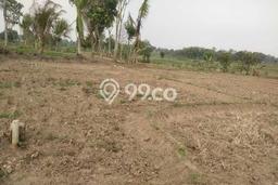 Tanah Dijual Lokasi Solear, Tangerang Luas 1485m2 Legalitas Aman Tanah Dijual Lokasi Solear, Tangerang Luas 1485m2 Legalitas Aman