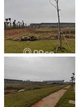 Tanah Disewakan Lokasi Pantai Indah Kapuk 2 Jakarta Utara Luas 2387m2 Tanah Disewakan Lokasi Pantai Indah Kapuk 2 Jakarta Utara Luas 2387m2