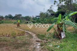 Jarang Ada! Tanah di Cikande Punya Luas 11803m2 SHM Jarang Ada! Tanah di Cikande Punya Luas 11803m2 SHM