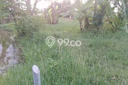 Tanah Kavling Dijual di Indramayu dengan Spesifikasi 3199m2 Tanah Kavling Dijual di Indramayu dengan Spesifikasi 3199m2