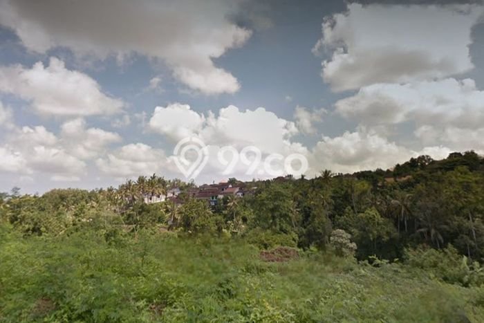 Tanah Kosong Dijual di Tabanan dengan Area 25530m2 Tanah Kosong Dijual di Tabanan dengan Area 25530m2
