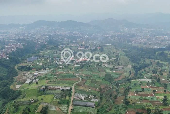 Jarang Ada! Tanah di Cipanas Punya Luas 2400m2 SHM Jarang Ada! Tanah di Cipanas Punya Luas 2400m2 SHM