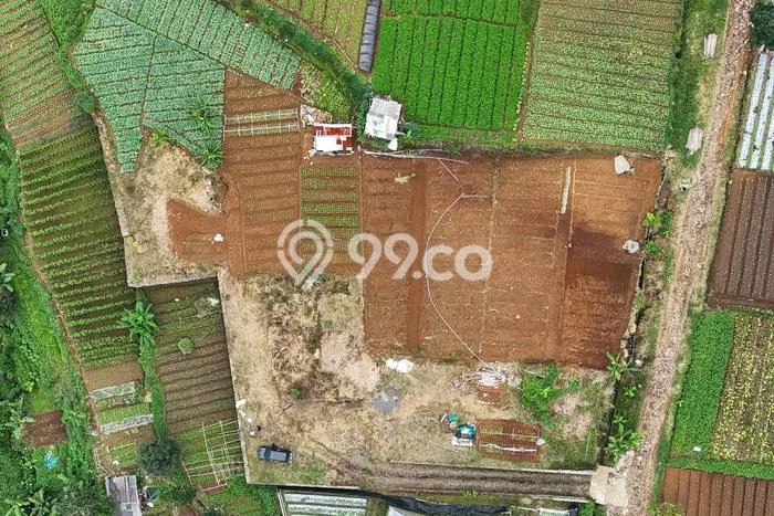Jarang Ada! Tanah di Cipanas Punya Luas 2400m2 SHM Jarang Ada! Tanah di Cipanas Punya Luas 2400m2 SHM