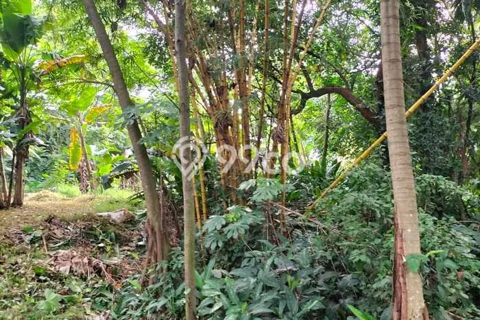 Kavling Tanah untuk Disewa di BSD Lahan Luas 1150m2 Kavling Tanah untuk Disewa di BSD Lahan Luas 1150m2