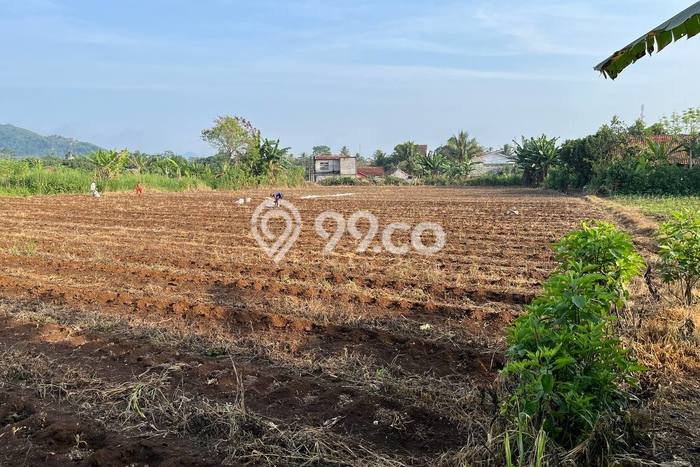 Lahan Kosong Dijual di Bogor dengan Area 4966m2 Lahan Kosong Dijual di Bogor dengan Area 4966m2