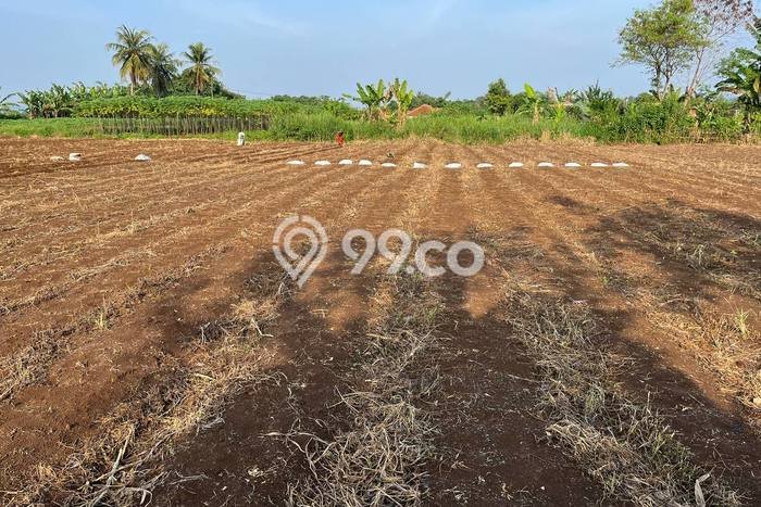 Lahan Kosong Dijual di Bogor dengan Area 4966m2 Lahan Kosong Dijual di Bogor dengan Area 4966m2