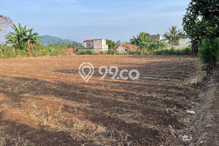 Lahan Kosong Dijual di Bogor dengan Area 4966m2 Lahan Kosong Dijual di Bogor dengan Area 4966m2