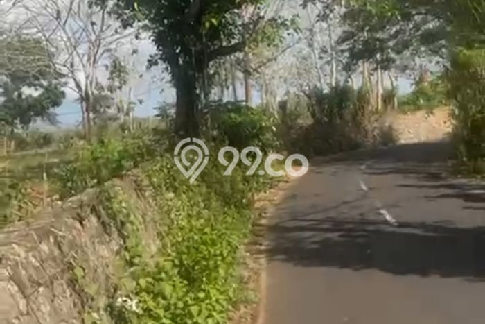 Tanah Kavling Disewakan di Pecatu dengan Luas 800m2 Tanah Kavling Disewakan di Pecatu dengan Luas 800m2