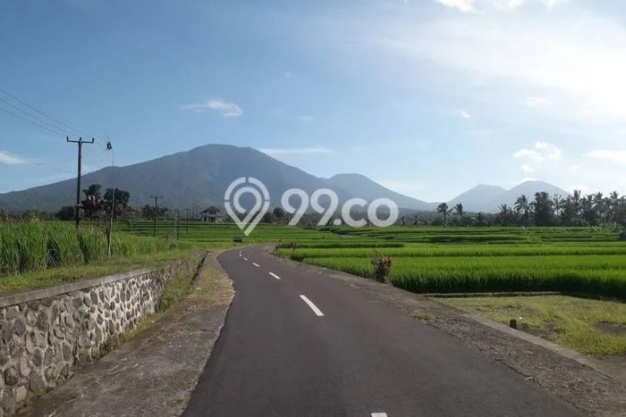 Tanah Kavling di Penebel Dijual dengan Luas 1000m2 Tanah Kavling di Penebel Dijual dengan Luas 1000m2
