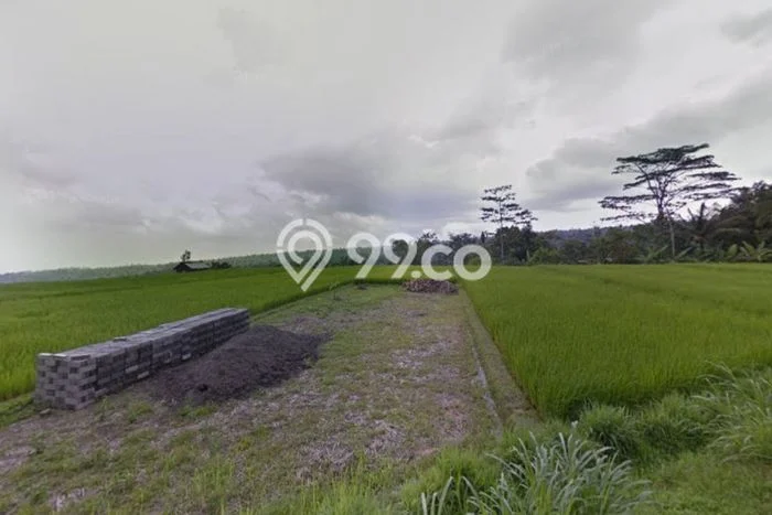 Tanah Kavling di Penebel Dijual dengan Luas 1000m2 Tanah Kavling di Penebel Dijual dengan Luas 1000m2