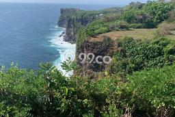 Tanah Kavling Dijual di Pecatu, Badung dengan Luas Tanah 10972m2 Tanah Kavling Dijual di Pecatu, Badung dengan Luas Tanah 10972m2