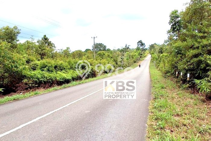 Kavling Tanah di Bintan Timur Dijual Luas 40000m2 Legalitas - Kavling Tanah di Bintan Timur Dijual Luas 40000m2 Legalitas -