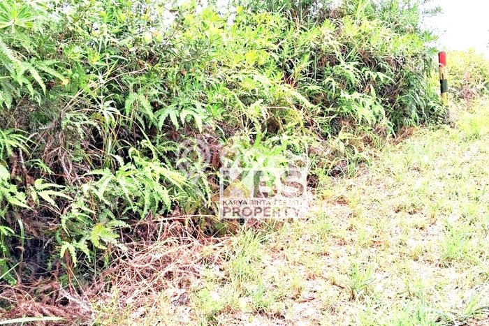Kavling Tanah di Bintan Timur Dijual Luas 40000m2 Legalitas - Kavling Tanah di Bintan Timur Dijual Luas 40000m2 Legalitas -