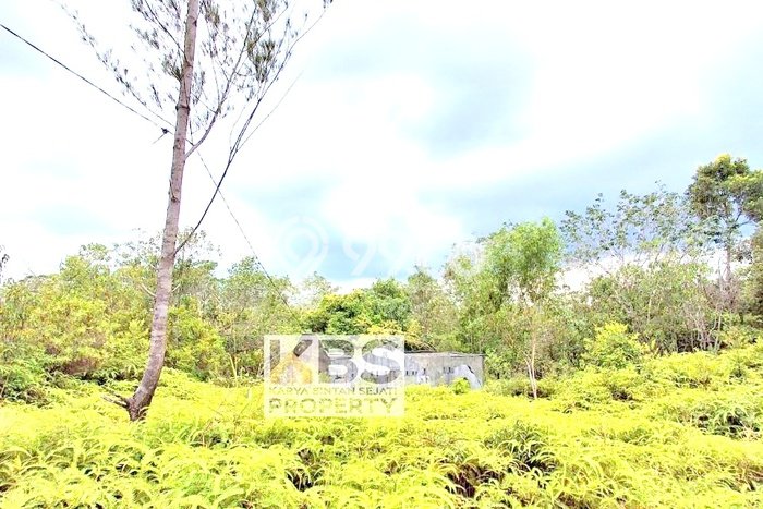 Kavling Tanah di Bintan Timur Dijual Luas 40000m2 Legalitas - Kavling Tanah di Bintan Timur Dijual Luas 40000m2 Legalitas -