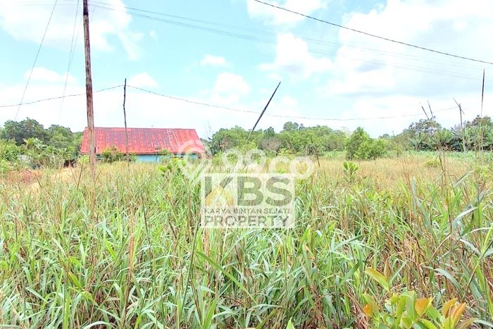 Kavling Tanah Dijual di Bintan Timur Bintan Spesifikasi 320m2 Kavling Tanah Dijual di Bintan Timur Bintan Spesifikasi 320m2