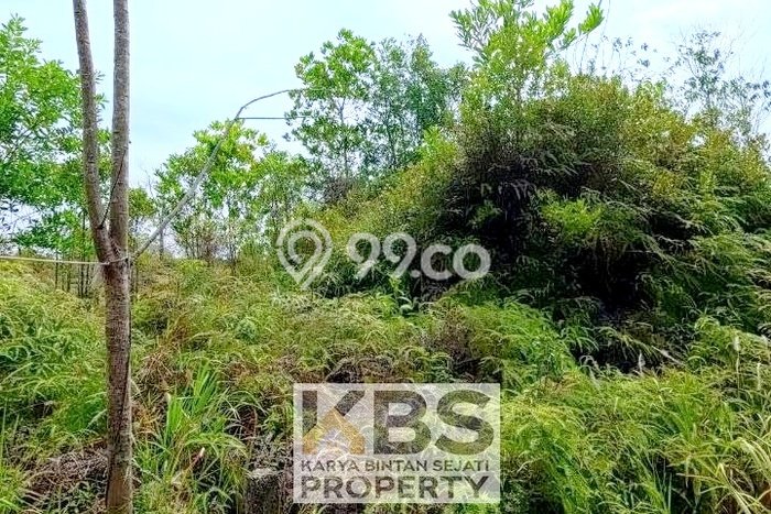 Tanah Komersial Dijual di Bintan Timur Bintan 3810m2 Tanah Komersial Dijual di Bintan Timur Bintan 3810m2