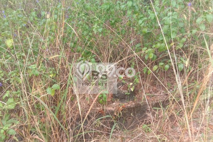 Lahan untuk Dijual di Bintan Timur Bintan Luas 475m2 Lahan untuk Dijual di Bintan Timur Bintan Luas 475m2