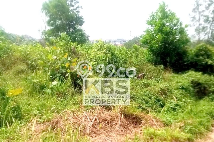 Dijual Tanah di Tanjung Pinang, Luas 888m2 SHM Dijual Tanah di Tanjung Pinang, Luas 888m2 SHM