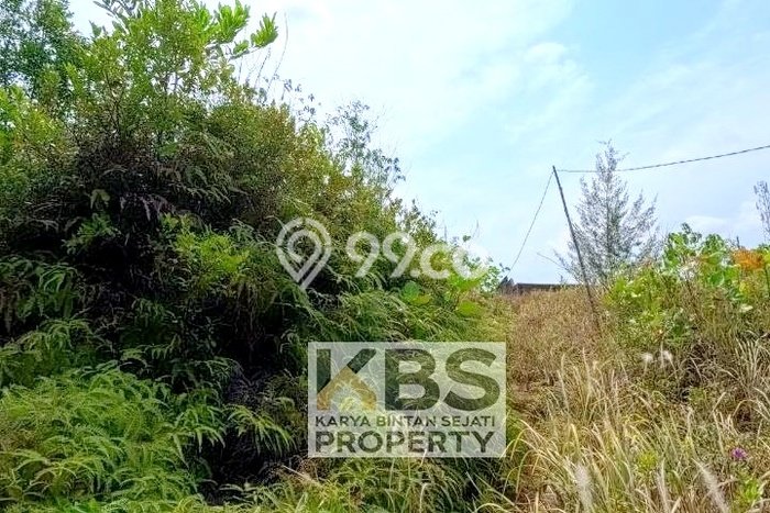 Tanah Komersial Dijual di Bintan Timur Bintan 3810m2 Tanah Komersial Dijual di Bintan Timur Bintan 3810m2
