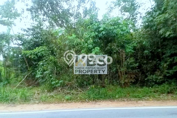 Tanah Dijual Lokasi Bintan Timur, Bintan dengan Luas Tanah 37840m2 dan Status - Tanah Dijual Lokasi Bintan Timur, Bintan dengan Luas Tanah 37840m2 dan Status -