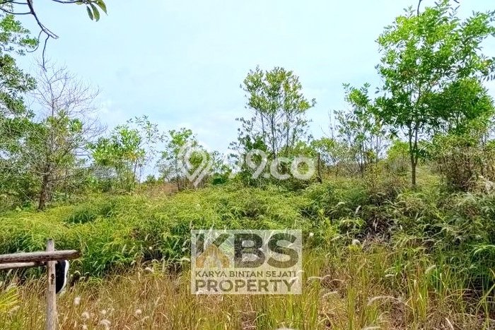 Tanah Komersial Dijual di Bintan Timur Bintan 3810m2 Tanah Komersial Dijual di Bintan Timur Bintan 3810m2
