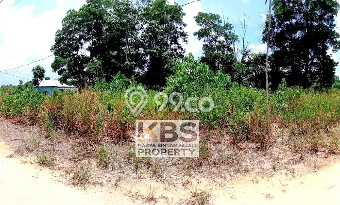 Kavling Tanah Dijual di Bintan Timur, Bintan, Luas 320m2 Area Strategis Kavling Tanah Dijual di Bintan Timur, Bintan, Luas 320m2 Area Strategis