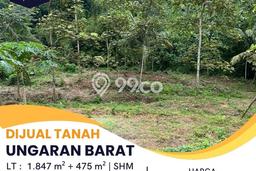 Tanah Dijual Lokasi Ungaran Barat, Semarang Luas 2322m2 Legalitas Aman Tanah Dijual Lokasi Ungaran Barat, Semarang Luas 2322m2 Legalitas Aman