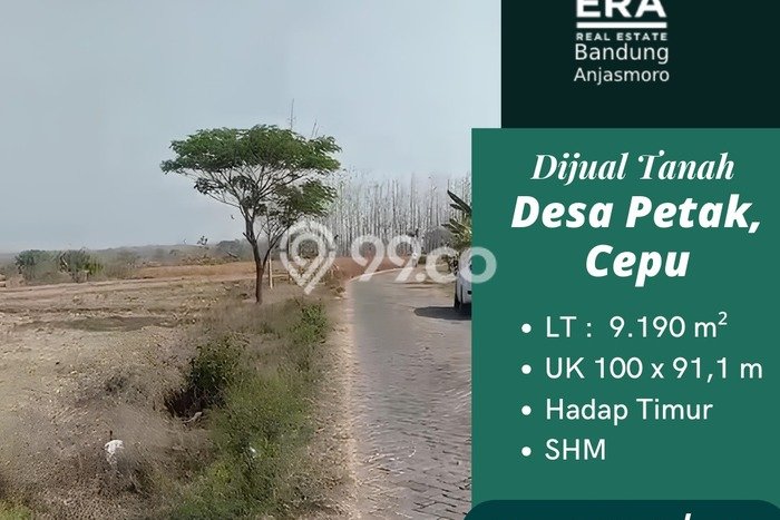 Tanah Kosong Dijual di Blora dengan Area 9190m2 Tanah Kosong Dijual di Blora dengan Area 9190m2