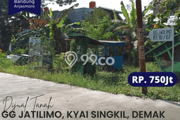 Tanah Dijual Area Strategis di Bintoro Demak 1m2 Tanah Dijual Area Strategis di Bintoro Demak 1m2