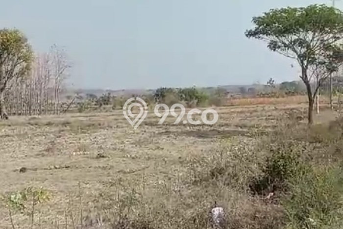 Tanah Kosong Dijual di Blora dengan Area 9190m2 Tanah Kosong Dijual di Blora dengan Area 9190m2