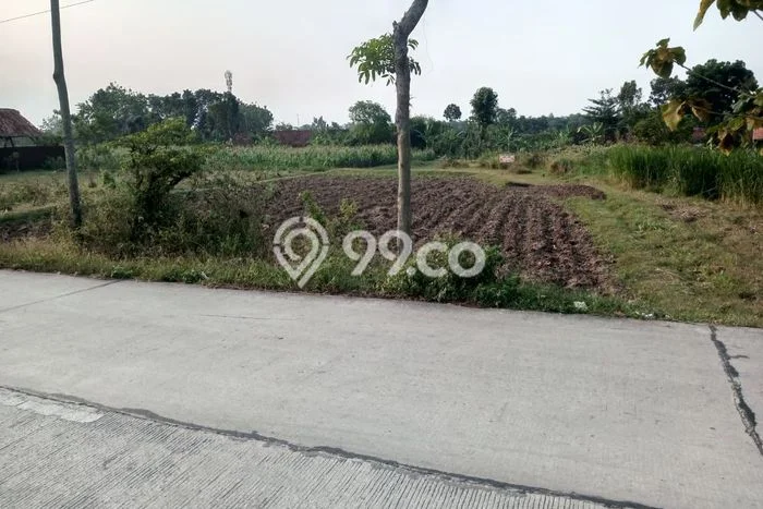 Tanah Kavling Dijual di Blora Kota, Blora dengan Luas Tanah 136m2 Tanah Kavling Dijual di Blora Kota, Blora dengan Luas Tanah 136m2