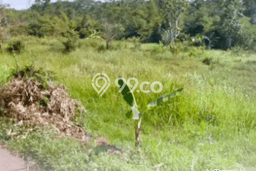 Tanah Dijual Lokasi Gunung Pati, Semarang Luas 12000m2 Legalitas Aman Tanah Dijual Lokasi Gunung Pati, Semarang Luas 12000m2 Legalitas Aman