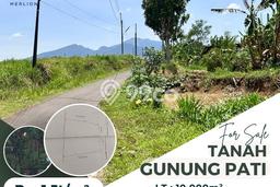 Kavling Tanah di Gunung Pati Dijual Luas 10000m2 Legalitas SHM Kavling Tanah di Gunung Pati Dijual Luas 10000m2 Legalitas SHM
