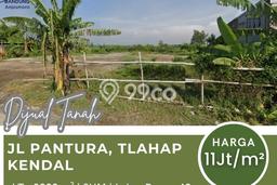 Tanah Dijual Lokasi Strategis di Kendal dengan Luas 3000m2 Tanah Dijual Lokasi Strategis di Kendal dengan Luas 3000m2