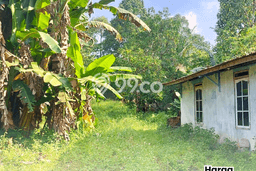 Tanah Dijual Lokasi Boja, Kendal Luas 2000m2 Legalitas Aman Tanah Dijual Lokasi Boja, Kendal Luas 2000m2 Legalitas Aman