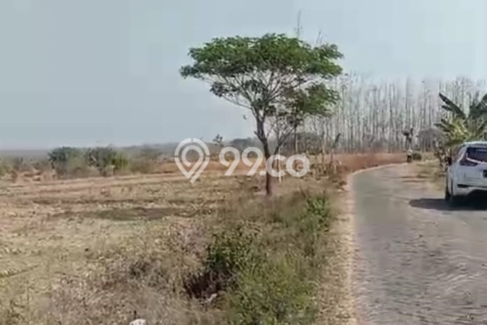 Tanah Kosong Dijual di Blora dengan Area 9190m2 Tanah Kosong Dijual di Blora dengan Area 9190m2