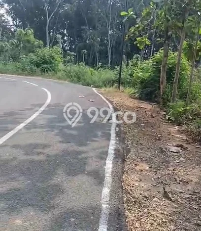 Kavling Tanah Dijual di Jumapolo, Karanganyar, Luas 1009m2 Area Strategis Kavling Tanah Dijual di Jumapolo, Karanganyar, Luas 1009m2 Area Strategis
