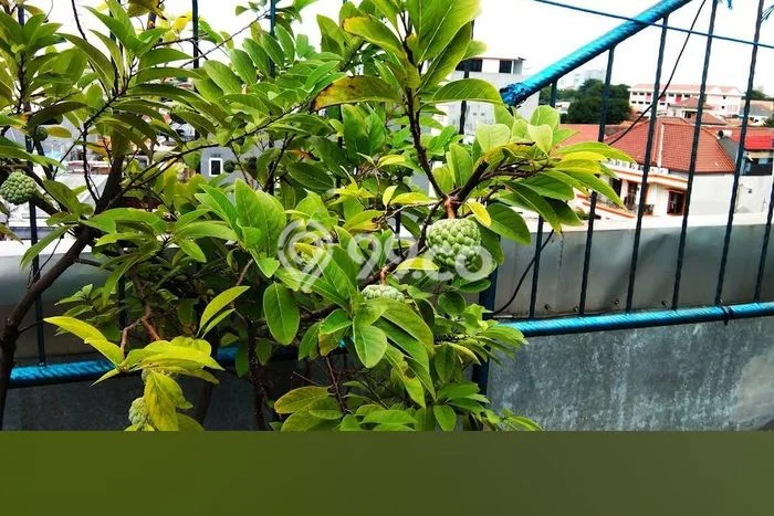 Unit Komersial Dijual di Jakarta Pusat LT 203m2 & LB 800m2 Unit Komersial Dijual di Jakarta Pusat LT 203m2 & LB 800m2