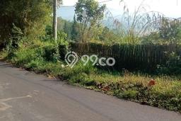 Tanah Dijual Lokasi Cisalak, Subang Luas 2100m2 Legalitas Aman Tanah Dijual Lokasi Cisalak, Subang Luas 2100m2 Legalitas Aman