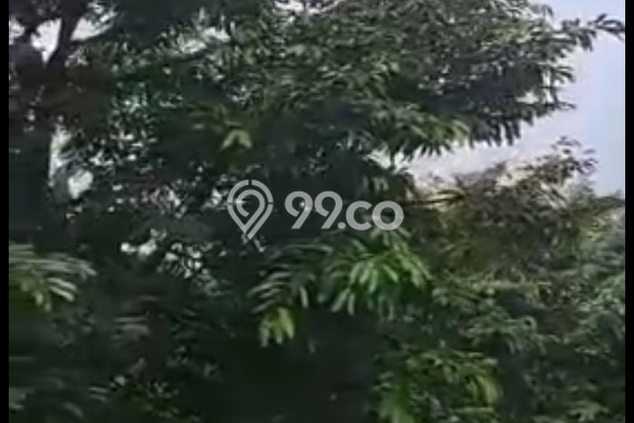 Tanah Strategis Dijual di Cigudeg Bogor 50000m2 Tanah Strategis Dijual di Cigudeg Bogor 50000m2