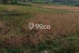 Tanah Strategis Dijual di Serang Serang 4000m2 Tanah Strategis Dijual di Serang Serang 4000m2