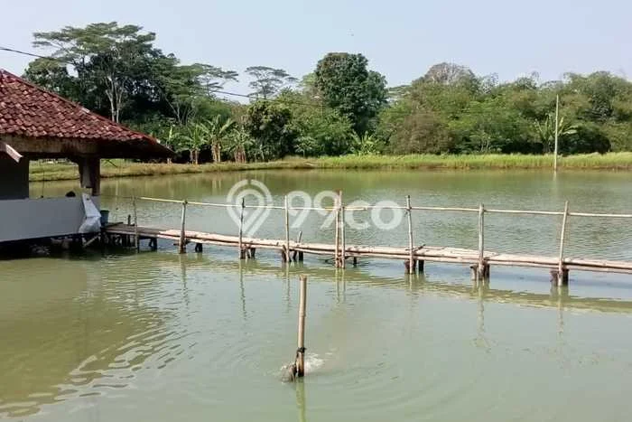 Tanah Kavling untuk Dijual di Subang Subang 7971m2 Tanah Kavling untuk Dijual di Subang Subang 7971m2