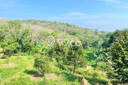 Tanah Dijual di Bogor Seluas 23820m2 Strategis Tanah Dijual di Bogor Seluas 23820m2 Strategis