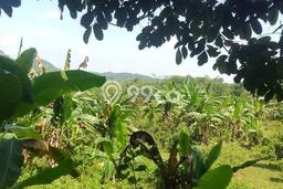 Tanah Kavling Dijual di Curug, Bogor dengan Luas Tanah 16370m2 Tanah Kavling Dijual di Curug, Bogor dengan Luas Tanah 16370m2