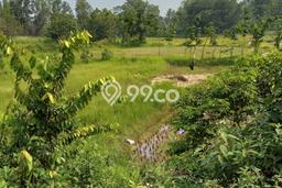 Tanah untuk Dijual Lokasi Tigaraksa, Tangerang Luas 5500m2 SHM Tanah untuk Dijual Lokasi Tigaraksa, Tangerang Luas 5500m2 SHM
